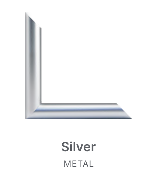 The Classic Award Plaque - Frame: Silver